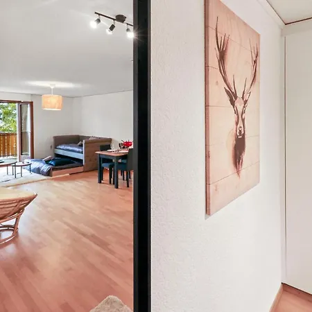 Apartament Au Centre *