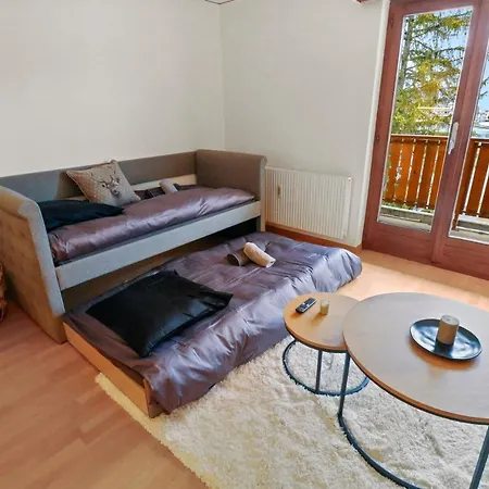 Apartament Au Centre *